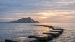 course image