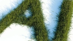 AI and Environmental Sustainability
