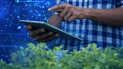 IA participativa para el impacto social