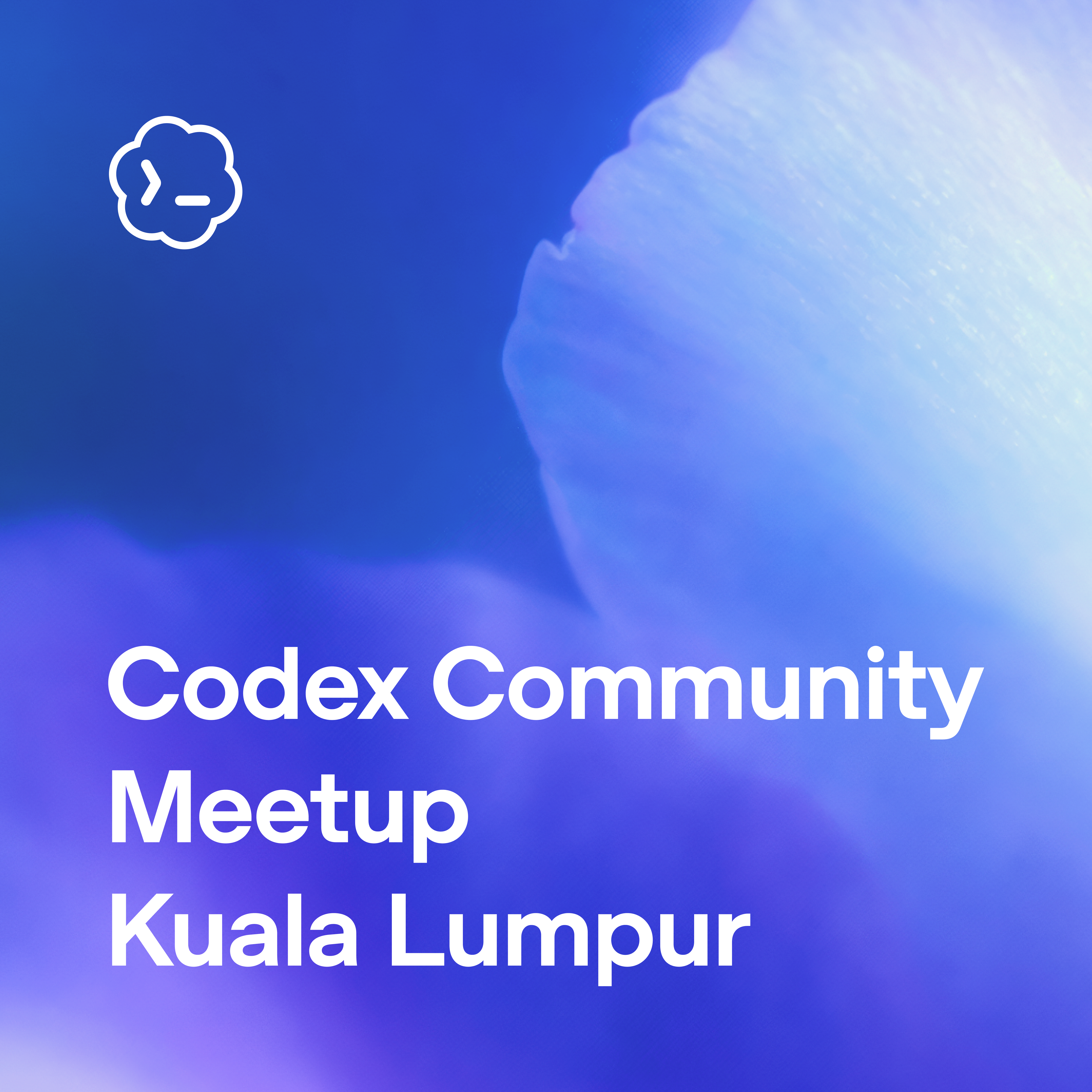 Encuentro de la Comunidad Codex - KL