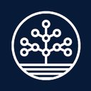 https://aiprojects.nyc3.cdn.digitaloceanspaces.com/images/1713877535_049cfdb469c43ea60d716a4f50be5b44.jpg
